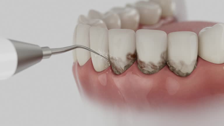 Reliable Dental contractor in Augusta, ME by Dentist Open Now
